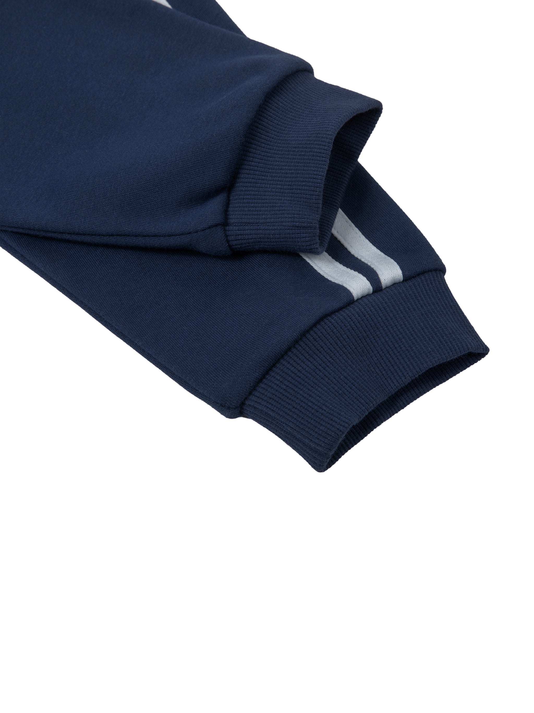 HOUSE Stripe Cropped Hoodie